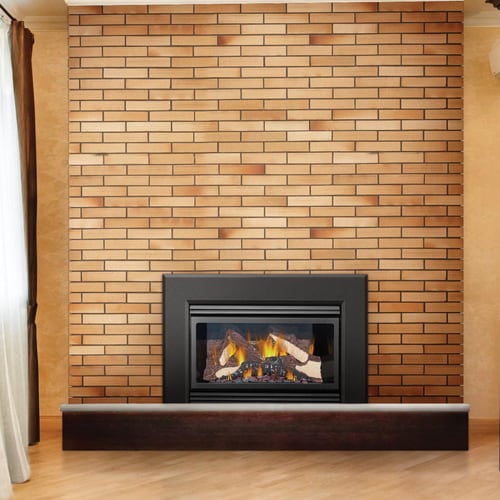 Napoleon Roxbury GI3600 Gas Fireplace Insert