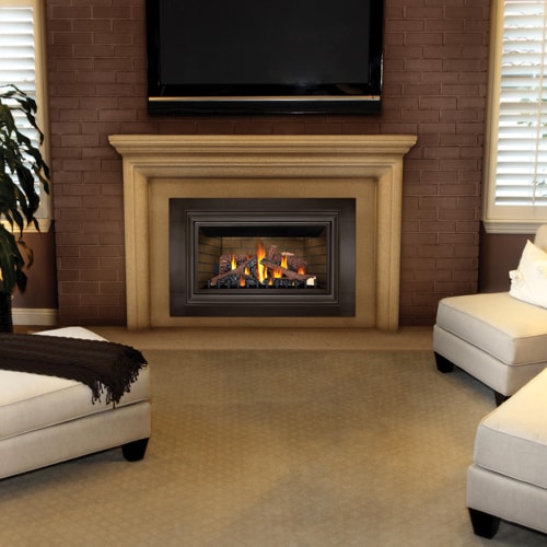 Napoleon Inspiration GDIZC-N Direct Vent Gas Fireplace Insert