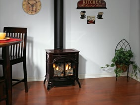 Spirit Direct Vent Cast Iron Gas Stove - Small