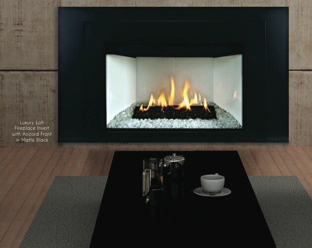 Loft Luxury Contemporary Direct Vent Fireplace Insert